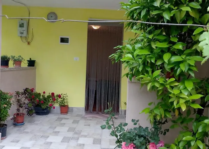 Maison d'hôtes Sonce - Tirana